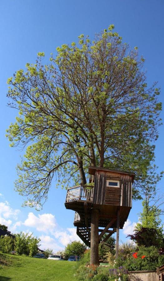 Appartamento Urlaub Am Bauernhof Weichselbaum Schloss Rosenau Esterno foto